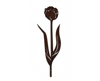 obrázek zápich tulipán
